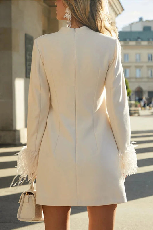 Out-Shine | Date Feather Trim Long Sleeve H-Line Mini Dress