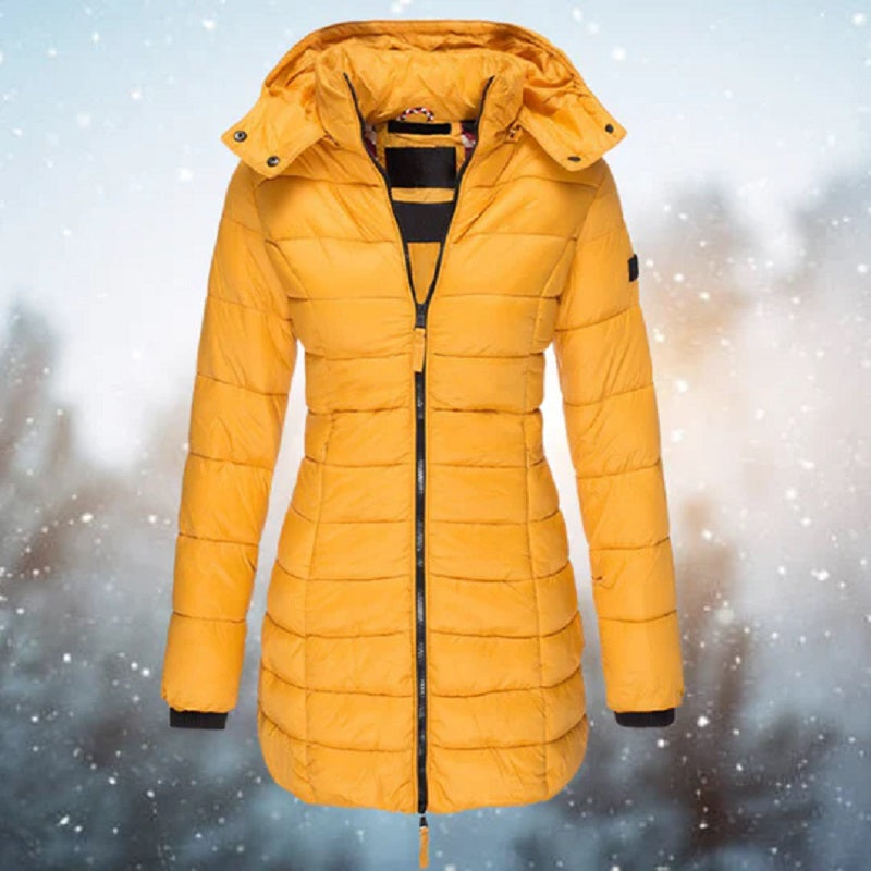 Out-Shine | Jacket