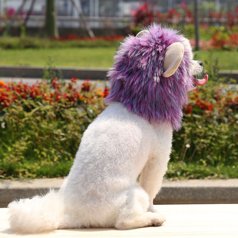 Out-Shine | Halloween Lion Hat for Dog and Cat