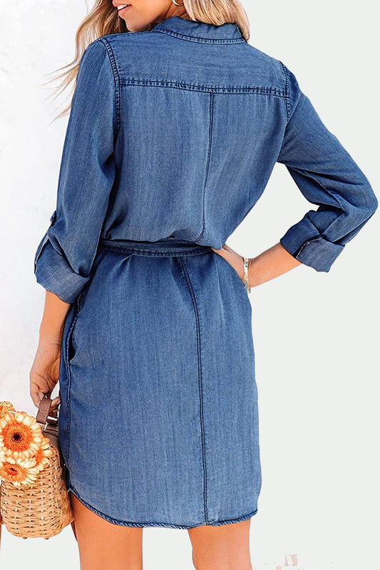 Out-Shine | Collar Buttons Down Long Sleeve Denim Mini Dress