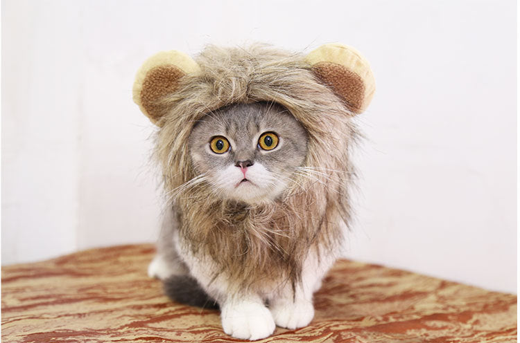 Out-Shine | Halloween Lion Hat for Dog and Cat