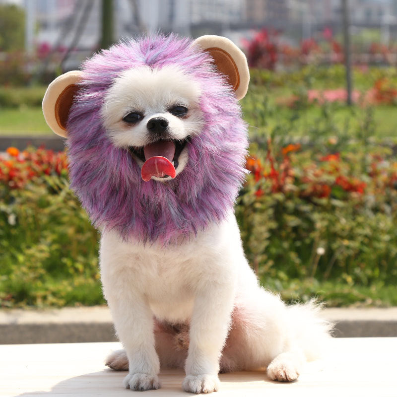 Out-Shine | Halloween Lion Hat for Dog and Cat
