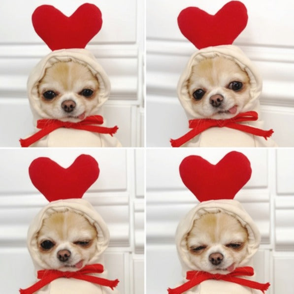 Out-Shine | Small Dog Cat Cosplay Sweater