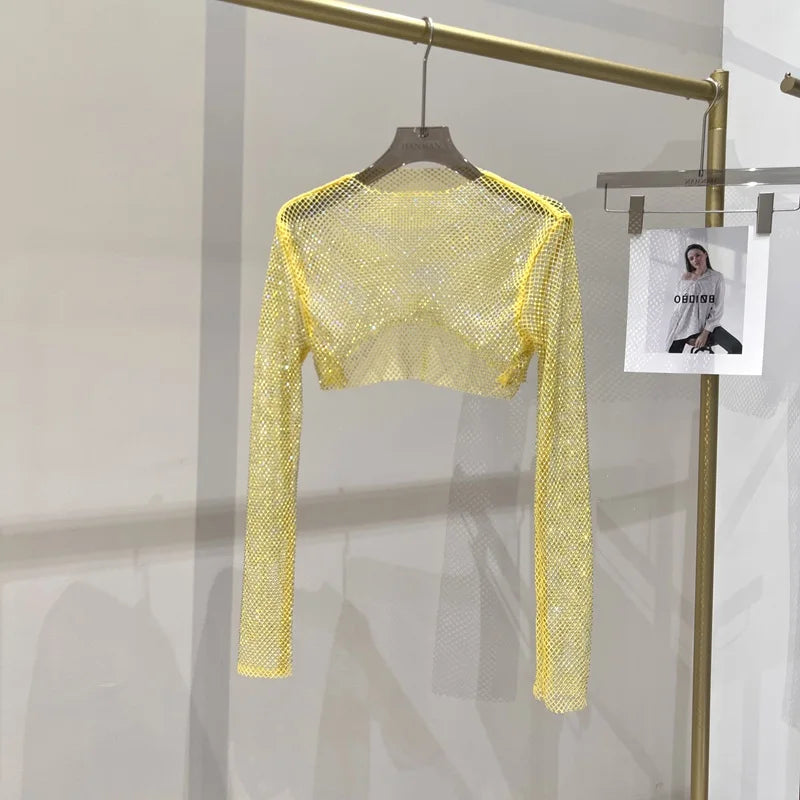 Out-Shine | Long Arm Mesh Top