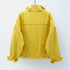 Out-Shine | Yellow jacket
