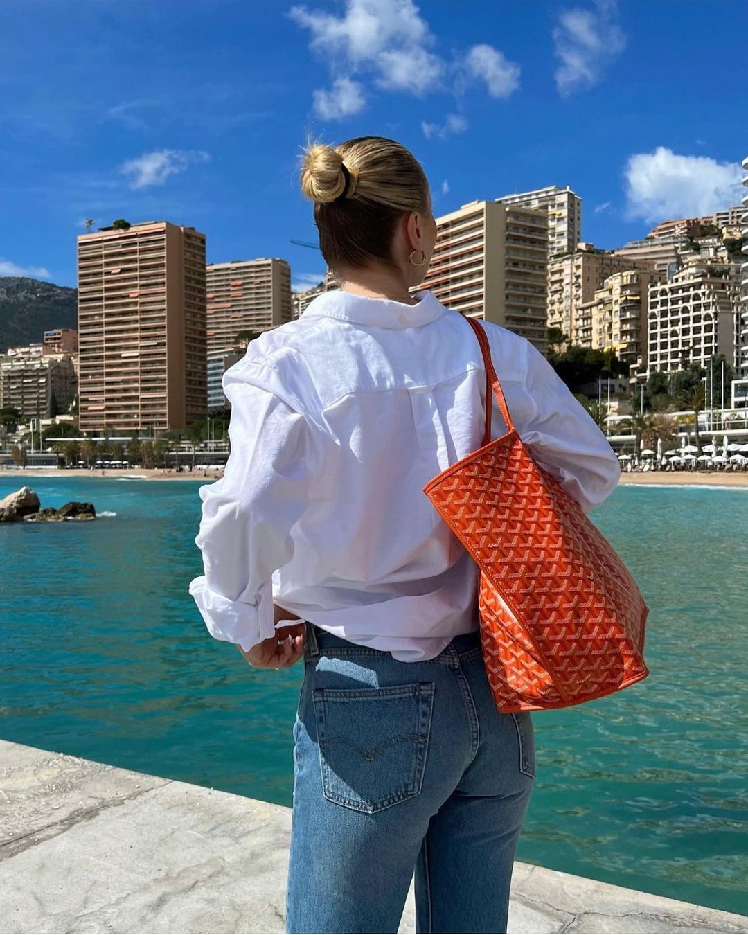 Out-Shine | Roomy & Stylish Bag